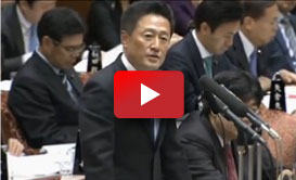 2015年2月3日 参議院 予算委員会 質疑の動画へのリンク